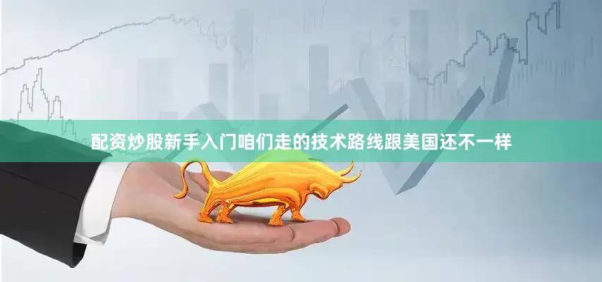 配资炒股新手入门咱们走的技术路线跟美国还不一样