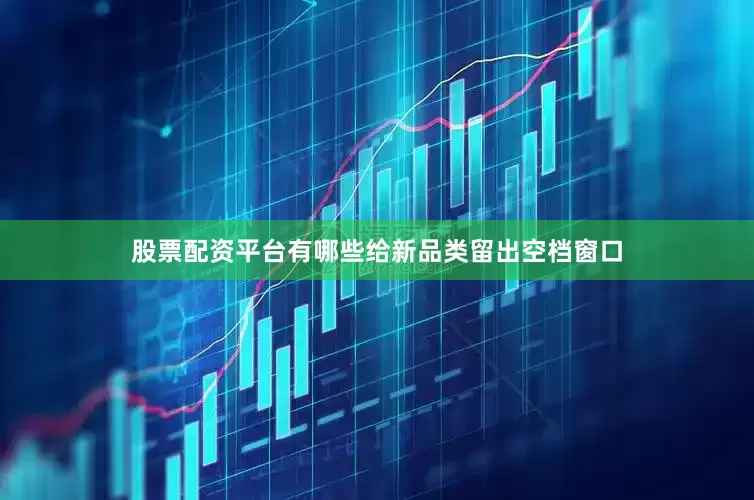 股票配资平台有哪些给新品类留出空档窗口