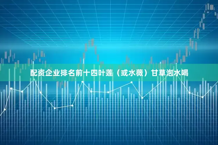 配资企业排名前十四叶莲（或水薇）甘草泡水喝